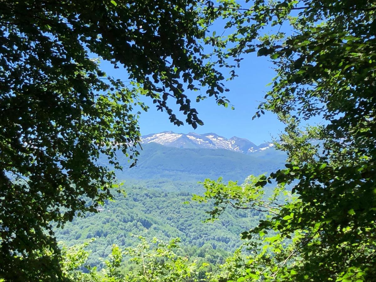 Fenetre Sur Les Pyrenees 호텔 Soulan  외부 사진